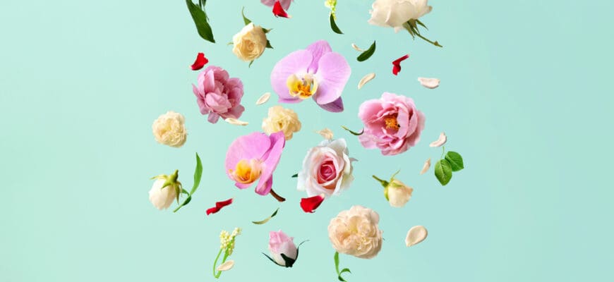 Beautiful,Spring,Flowers,Flying,In,The,Air,,Against,Teal,Background;